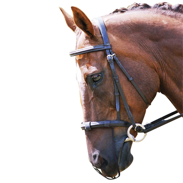 Equilibrium Products Fly Mask Equilibrium Net Relief Muzzle Net