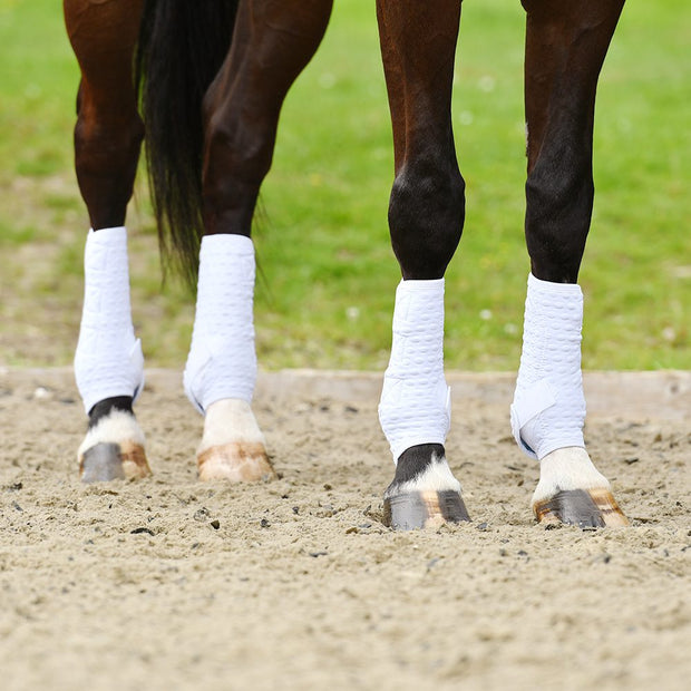 Equilibrium Products Horse Boots Equilibrium Stretch & Flex Training Wraps