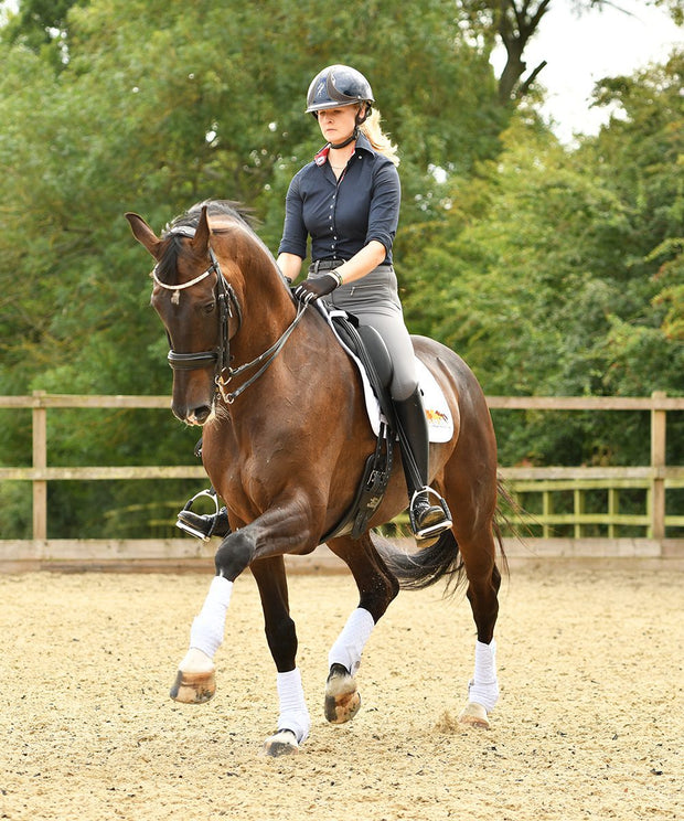 Equilibrium Products Horse Boots Equilibrium Stretch & Flex Training Wraps