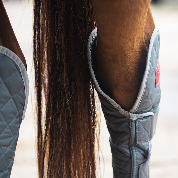 Equilibrium Products Horse Boots Equilibrium Therapy Magnetic Hind & Hock Chaps