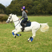 Equilibrium Products Horse Boots Equilibrium Tri-Zone All Sports Boots Blue