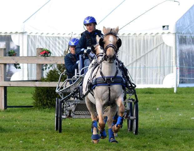 Equilibrium Products Horse Boots Equilibrium Tri-Zone All Sports Boots Blue