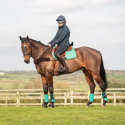 Equilibrium Products Horse Boots Equilibrium Tri-Zone All Sports Boots Green