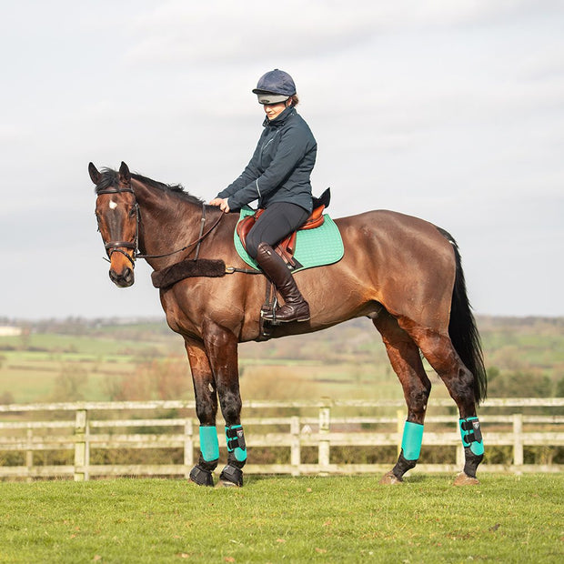 Equilibrium Products Horse Boots Equilibrium Tri-Zone All Sports Boots Green