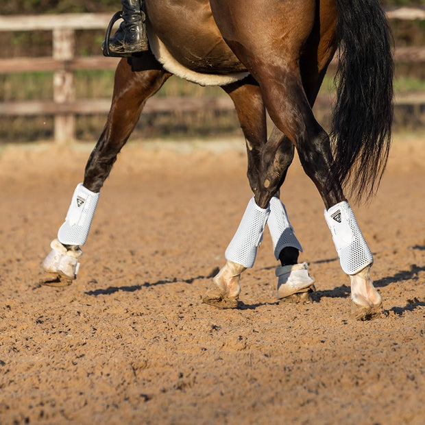 Equilibrium Products Horse Boots Equilibrium Tri-Zone All Sports Boots White