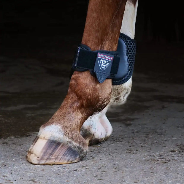 Equilibrium Products Horse Boots Equilibrium Tri-Zone Fetlock Boots