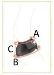 Equilibrium Products Horse Boots Equilibrium Tri-Zone Over Reach Boots