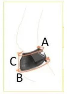 Equilibrium Products Horse Boots Equilibrium Tri-Zone Over Reach Boots