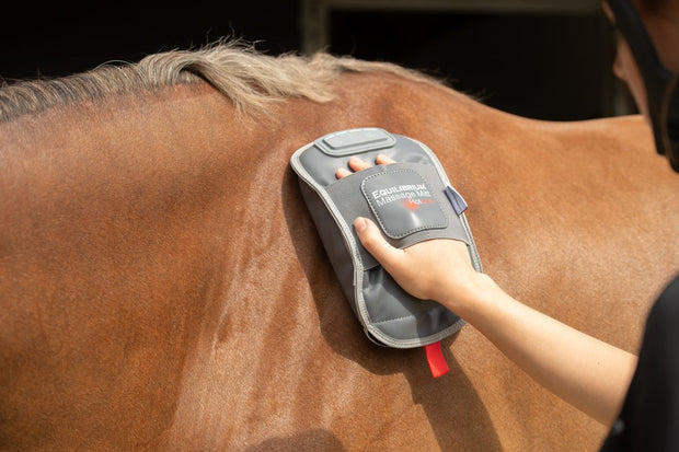 Equilibrium Products Massage Mitt Hotspot