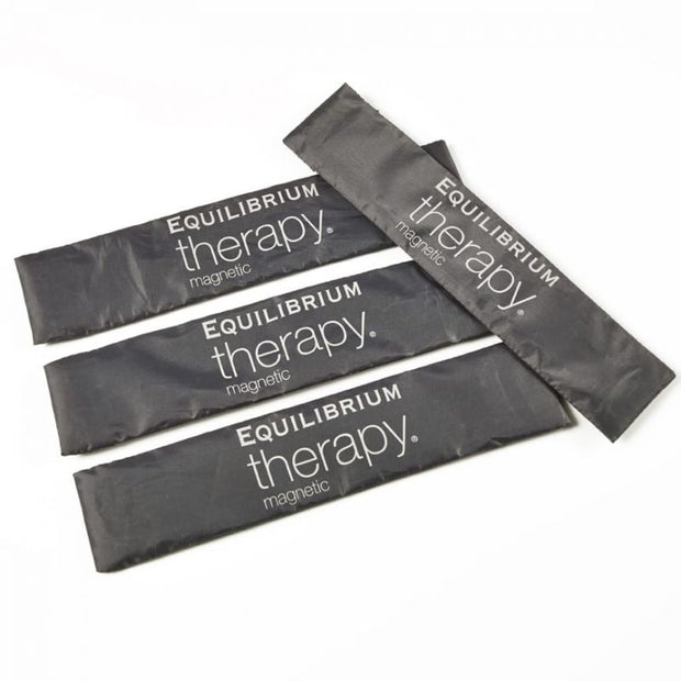 Equilibrium Products Small X 4 Pack Equilibrium Therapy Spare Magnet
