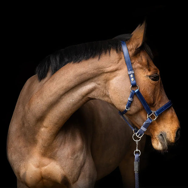 Equilibrium Products Headcollar XSmall / Navy Equilibrium Stellar Safety Headcollar