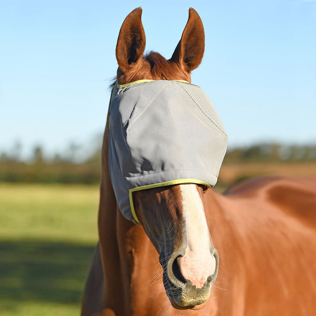Equilibrium Products Fly Mask Xxsmall / Black/Orange Equilibrium Field Relief Midi Fly Mask No Ears Grey