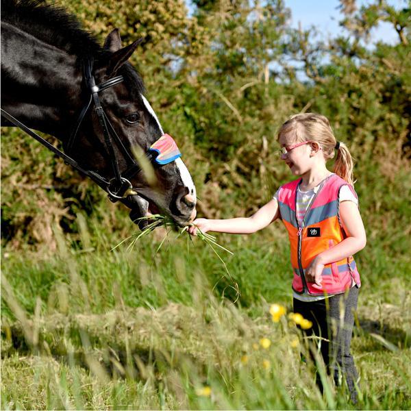 Equisafety 4-8yrs Equisafety Multi Colour Hi Vis Waistcoat Child Pink/Orange