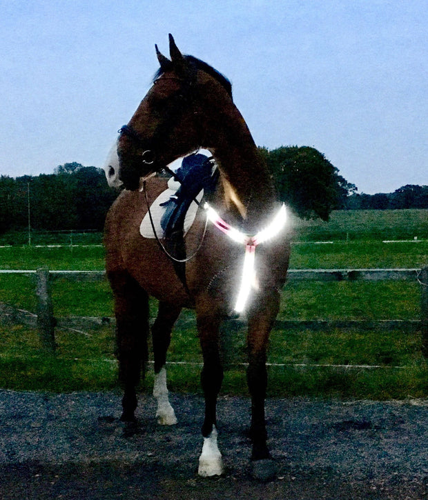 Equisafety Cob / Pink Equisafety LED Rechargeable Breastplate