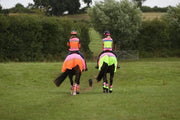 Equisafety Equisafety Multi Colour Hi Vis Waistcoat Pink/Yellow