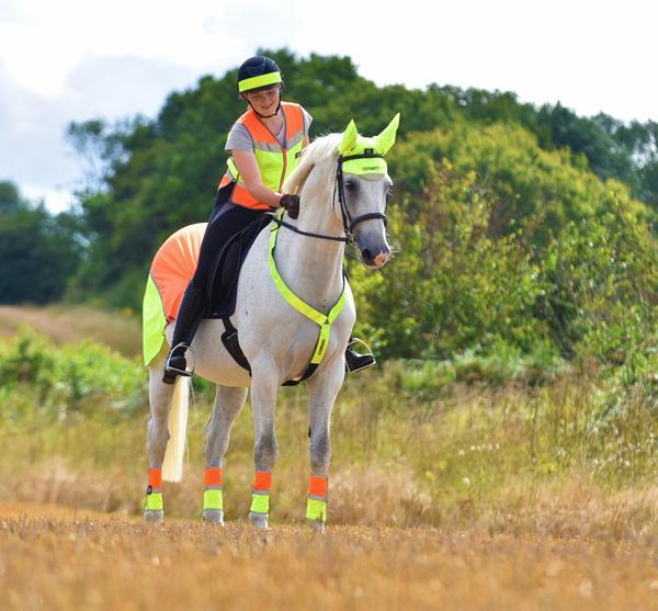 Equisafety Equisafety Multi Colour Hi Vis Waistcoat Yellow/Orange