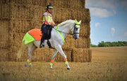 Equisafety Equisafety Multi Colour Hi Vis Waistcoat Yellow/Orange