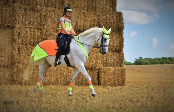 Equisafety Equisafety Multi Colour Hi Vis Waistcoat Yellow/Orange
