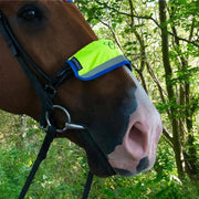 Equisafety Tack Equisafety Multi Coloured Nose, Brow, Rein Band Green/Yellow