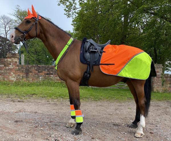 Equisafety Multi Coloured Waterproof Hi Viz Horse Sheet Yellow/Orange