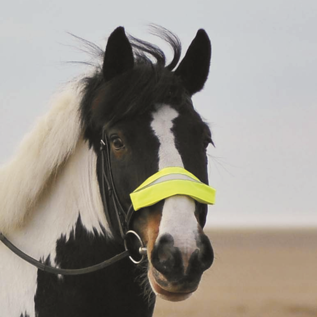 Equisafety Pink Equisafety Nose/Brow/Rein Band
