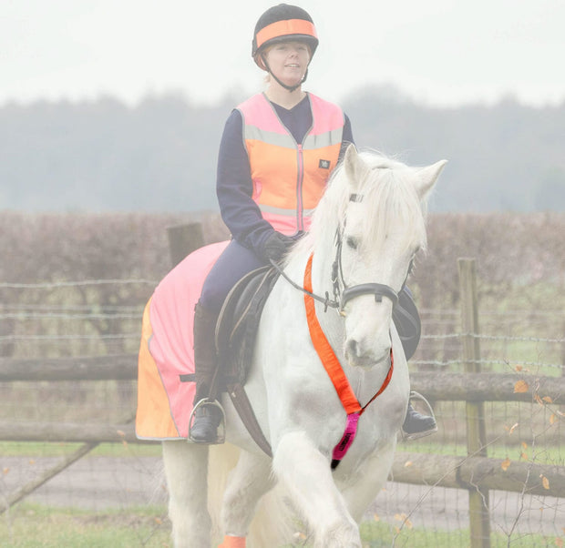 Equisafety Pink/Orange Reflective Neck Band -Multicoloured