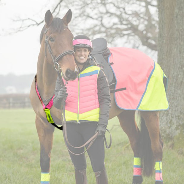 Equisafety Pink/Yellow Reflective Neck Band -Multicoloured