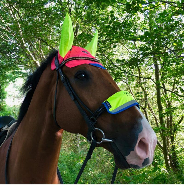 Equisafety Muffler Pony Equisafety Reflective Charlotte Dujardin Multi Coloured Mesh Horse Ears - PINK/YELLOW