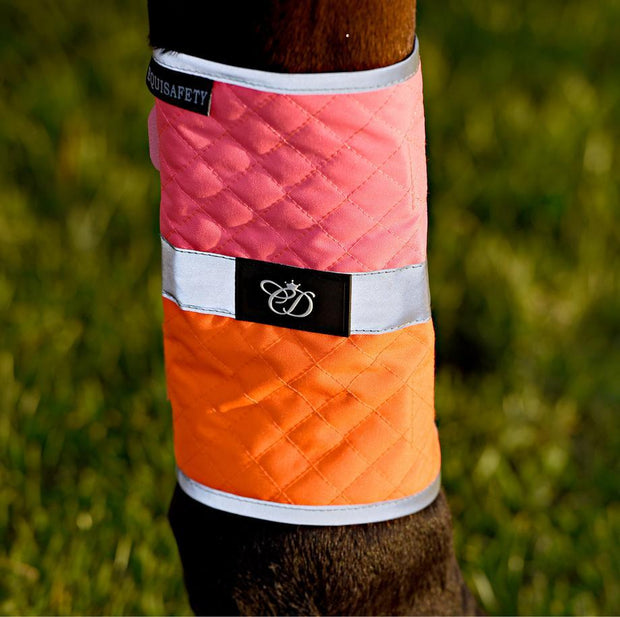 Equisafety Horse Boots Pony Multi Coloured Leg Boots - PINK/ORANGE