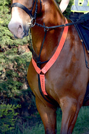 Equisafety Reflective Neck Band - Red Orange