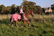 Equisafety Rug RUG - Waterproof Quilted Hi Vis Wraparound Rug- Pink