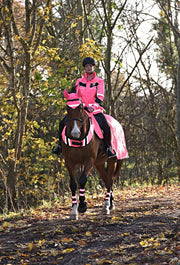 Equisafety Rug RUG - Waterproof Quilted Hi Vis Wraparound Rug- Pink