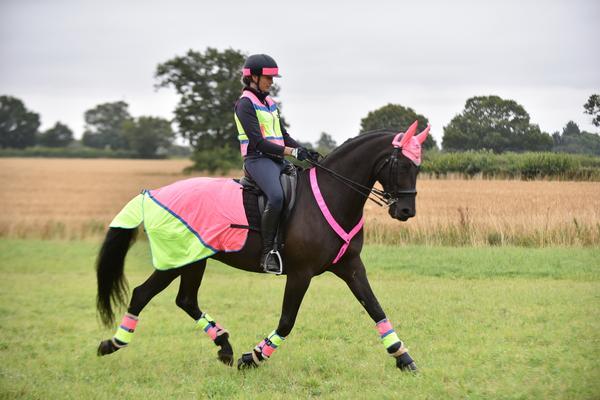Equisafety Shetland - Up to 11.2hh Stable Rug 5.3ft Multi Coloured Waterproof Hi Viz Horse Sheet Pink/Yellow