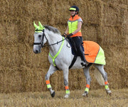Equisafety Shetland - Up to 11.2hh Stable Rug 5.3ft Multi Coloured Waterproof Hi Viz Horse Sheet Yellow/Orange