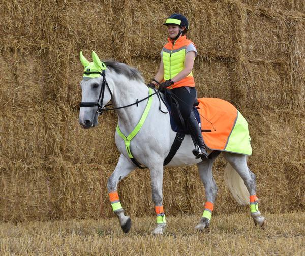 Equisafety Shetland - Up to 11.2hh Stable Rug 5.3ft Multi Coloured Waterproof Hi Viz Horse Sheet Yellow/Orange