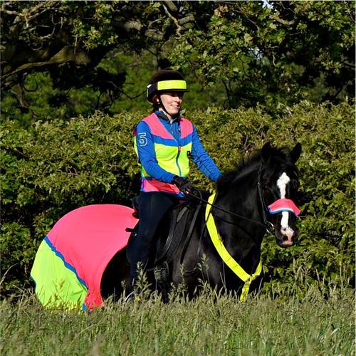Equisafety Small / Pink/Yellow Equisafety Multi Colour Hi Vis Waistcoat Pink/Yellow