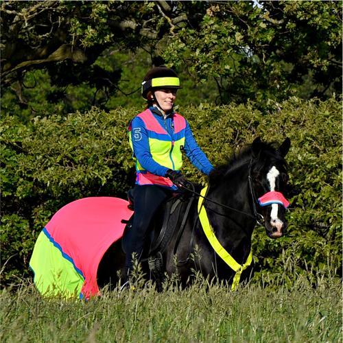 Equisafety Small / Pink/Yellow Equisafety Multi Colour Hi Vis Waistcoat Pink/Yellow