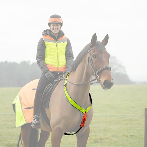 Equisafety Yellow/Orange Reflective Neck Band -Multicoloured