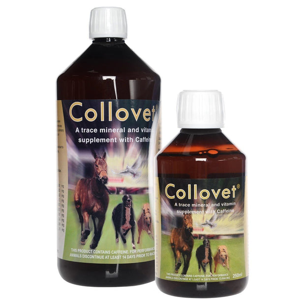 Fearing Supplements 250 Ml Collovet