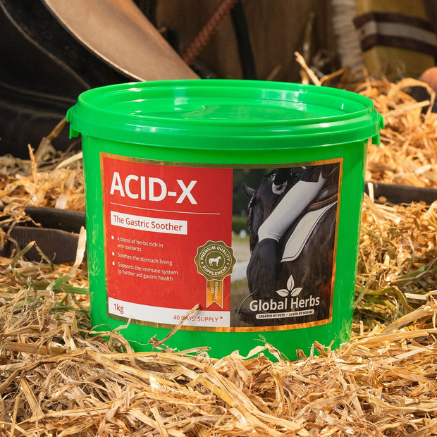 Global Herbs Horse Vitamins & Supplements 1 Kg Global Herbs Acid-X