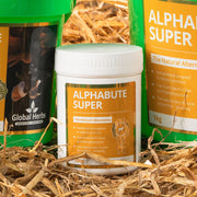 Global Herbs Horse Vitamins & Supplements 100g Global Herbs Alphabute Super