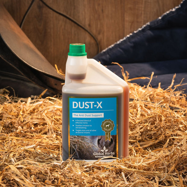 Global Herbs Horse Vitamins & Supplements Global Herbs  Dust-X