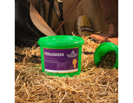Global Herbs Global Herbs Fenugreek