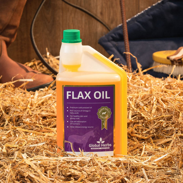 Global Herbs Horse Vitamins & Supplements Global Herbs Flax Oil