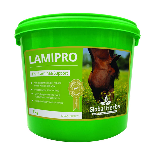 Global Herbs Horse Vitamins & Supplements Global Herbs Lamipro Powder