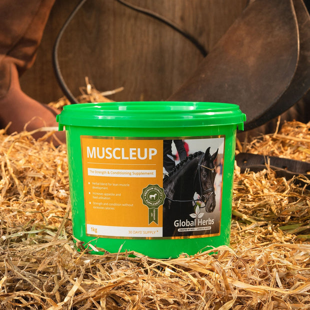 Global Herbs Horse Vitamins & Supplements Global Herbs Muscleup