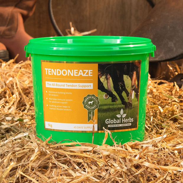 Global Herbs Horse Vitamins & Supplements Global Herbs Tendoneaze