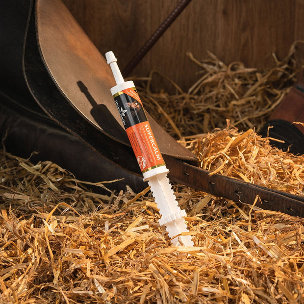 Global Herbs Horse Vitamins & Supplements Single Global Herbs Supercalm Syringe