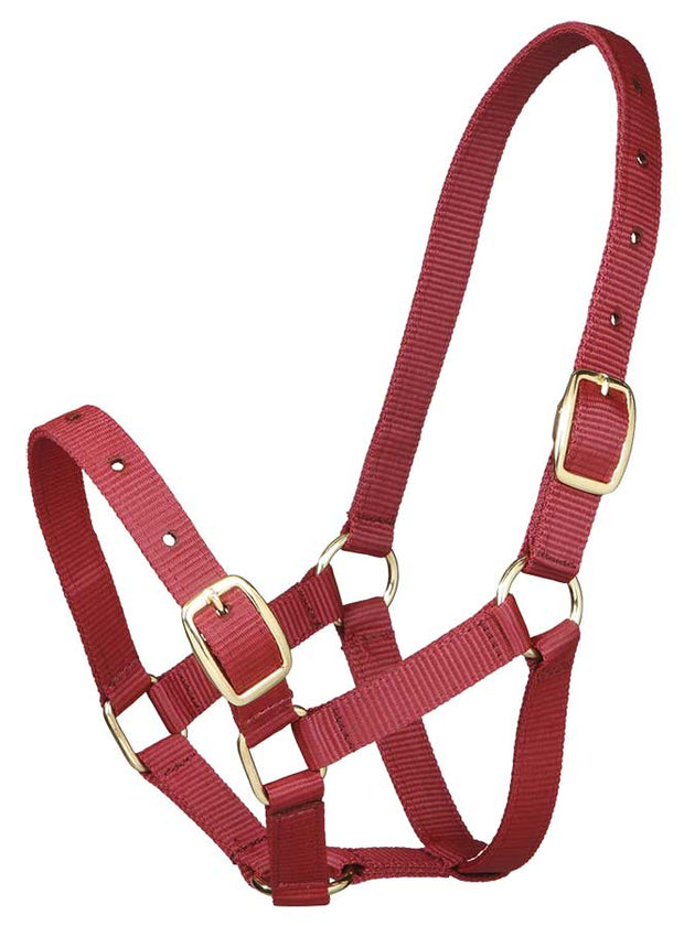 Gymkhana Headcollar Burgundy Gymkhana Headcollar Foal