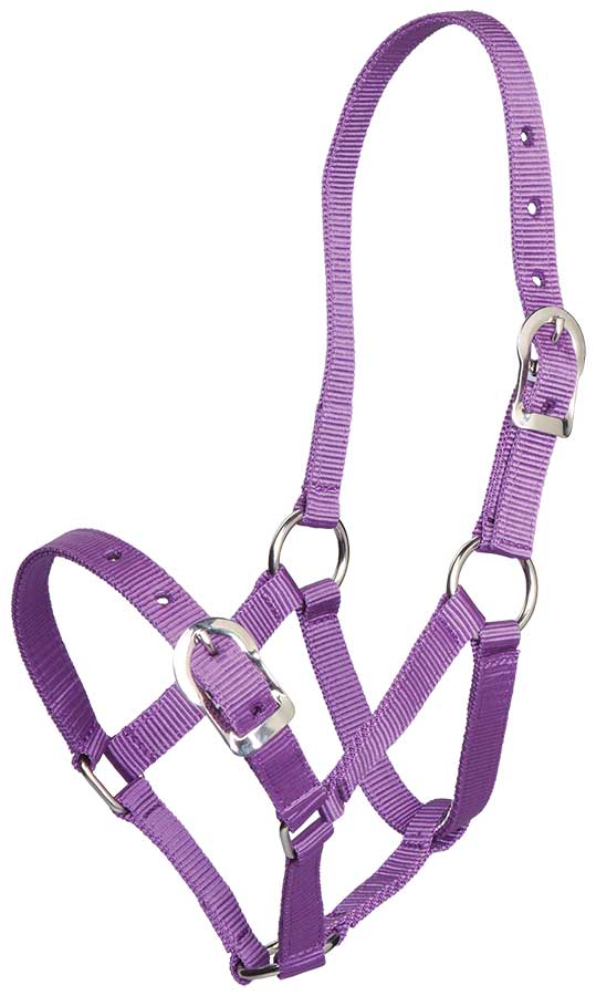Gymkhana Headcollar Gymkhana Headcollar Small Pony